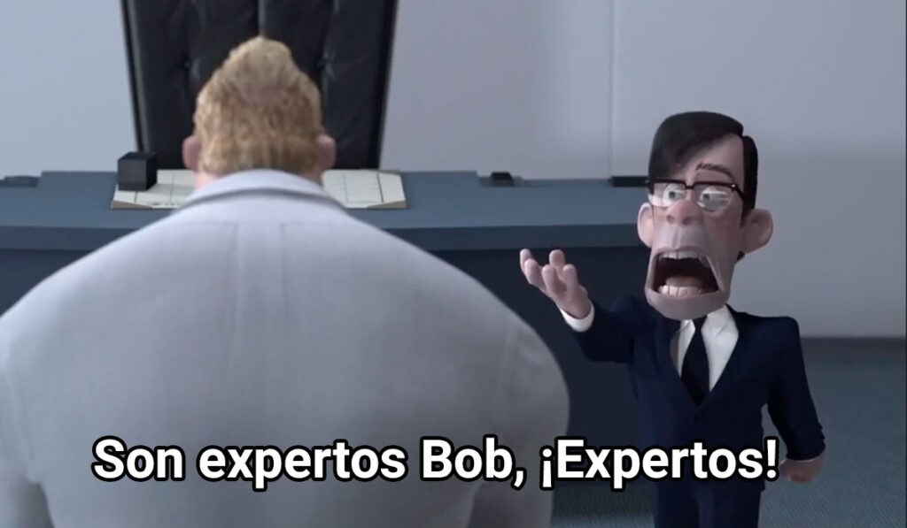 son-expertos-bob
